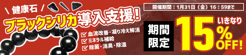 期間限定15%OFF